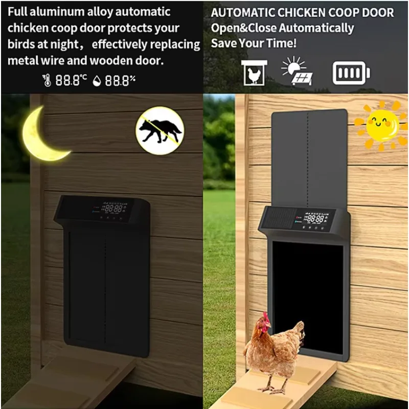 Automatic Chicken Door Opener Solar - 2026/Automatic Chicken Coop Door Sensing Chicken