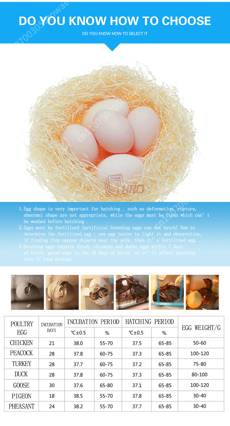 Automatic 96 Eggs Incubator fo - Poultry Incubator 96 Eggs recension och pris