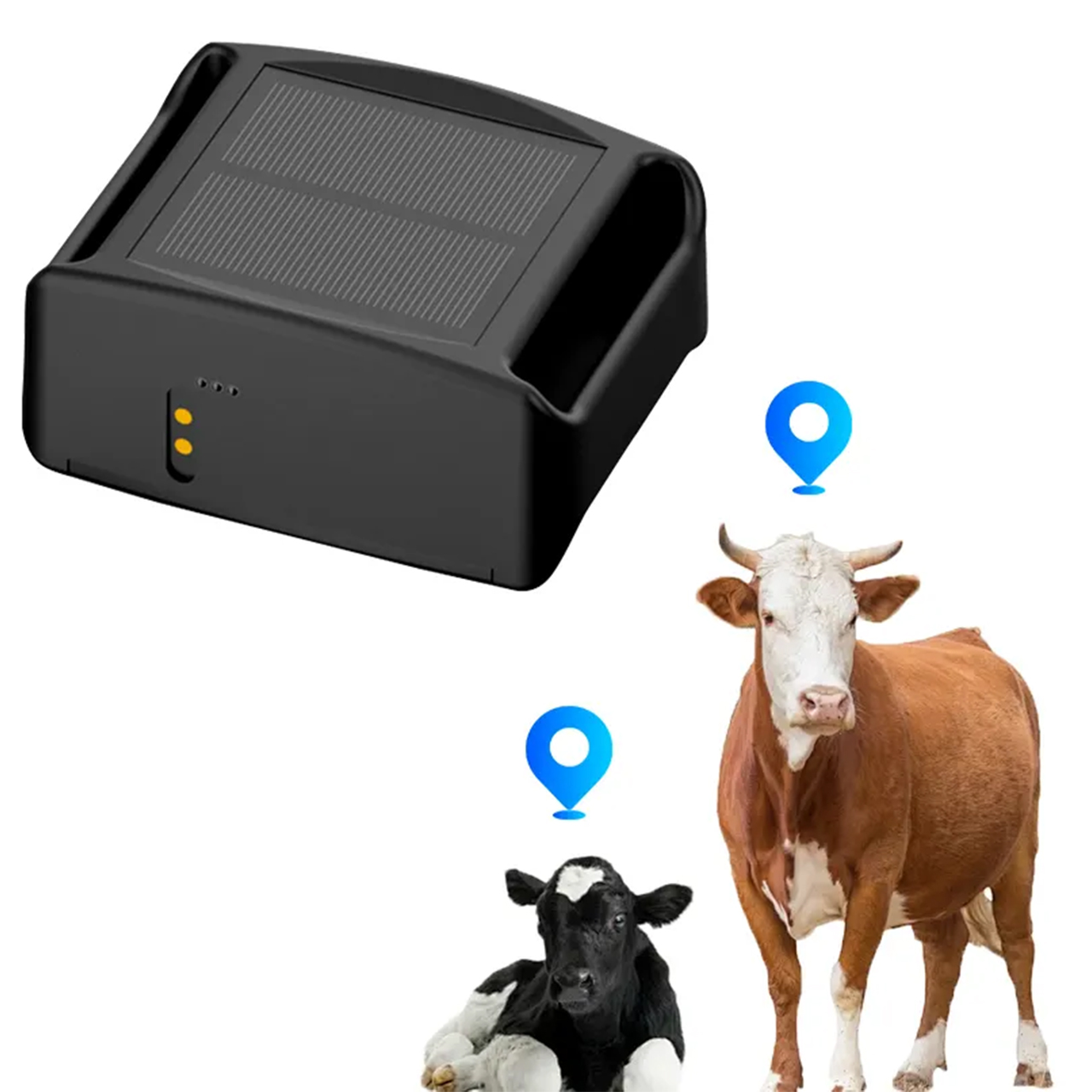 STLFQ19 Anti High Low Temperat - Gps Tracker Cattle Collar recension och pris